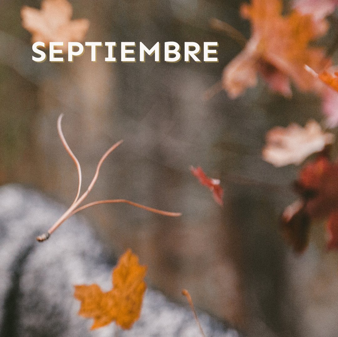 "Bienvenido septiembre, que nos da la oportunidad de volver a empezar"  - Mes de reencuentros y celebraciones 🍂
.
.
#socialmedia #suiteagencia #comunicion #comunicarconestilo #lifestyle #autumn
