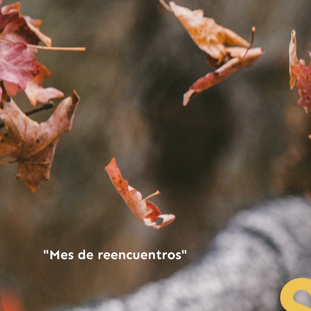 "Bienvenido septiembre, que nos da la oportunidad de volver a empezar" - Mes de reencuentros y celebraciones 🍂
.
.
#socialmedia #suiteagencia #comunicion #comunicarconestilo #lifestyle #autumn
