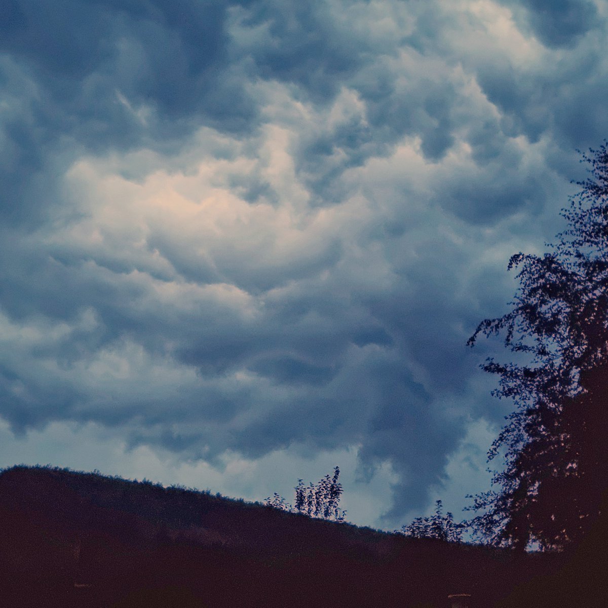 Dalby looking quite eerie at the moment! Rain just starting. Thunder rolling around. @Dalby_Forest <a href="/northyorkswx/">NorthYorksWeather</a>