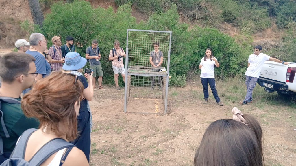 Today Fieldtrips! Four different fieldtrips have been organized to show different impacts caused by Wild boar and the management strategies being applied @Diba <a href="/accioclimatica/">Assemblea d'acció climàtica</a> <a href="/xarxadeparcs/">Xarxa de Parcs Naturals</a> <a href="/montseny/">Parc Natural i Reserva de la Biosfera del Montseny</a>  <a href="/parcscat/">Parcs de Catalunya</a> <a href="/agentsruralscat/">Agents Rurals</a> <a href="/barcelona_cat/">Barcelona</a> <a href="/parcncollserola/">Parc Natural de Collserola</a> <a href="/minuartia_tw/">minuartia</a>