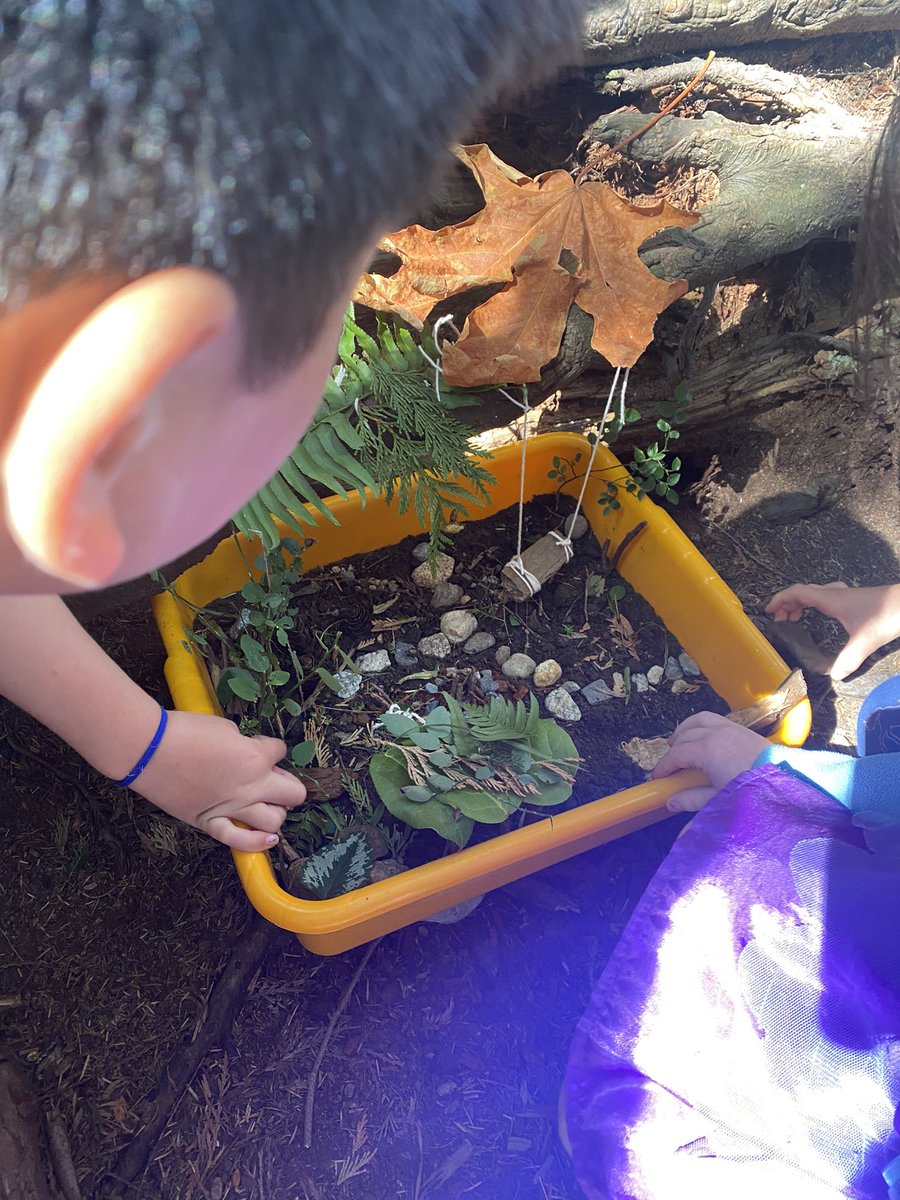 Danielle Zurowski tweet media