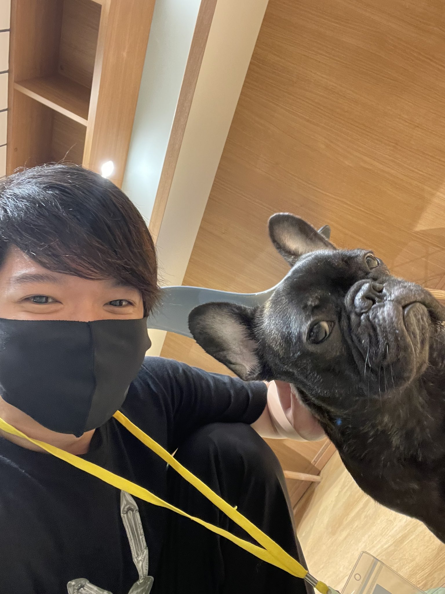 犬カフェrio Twitter Search Twitter