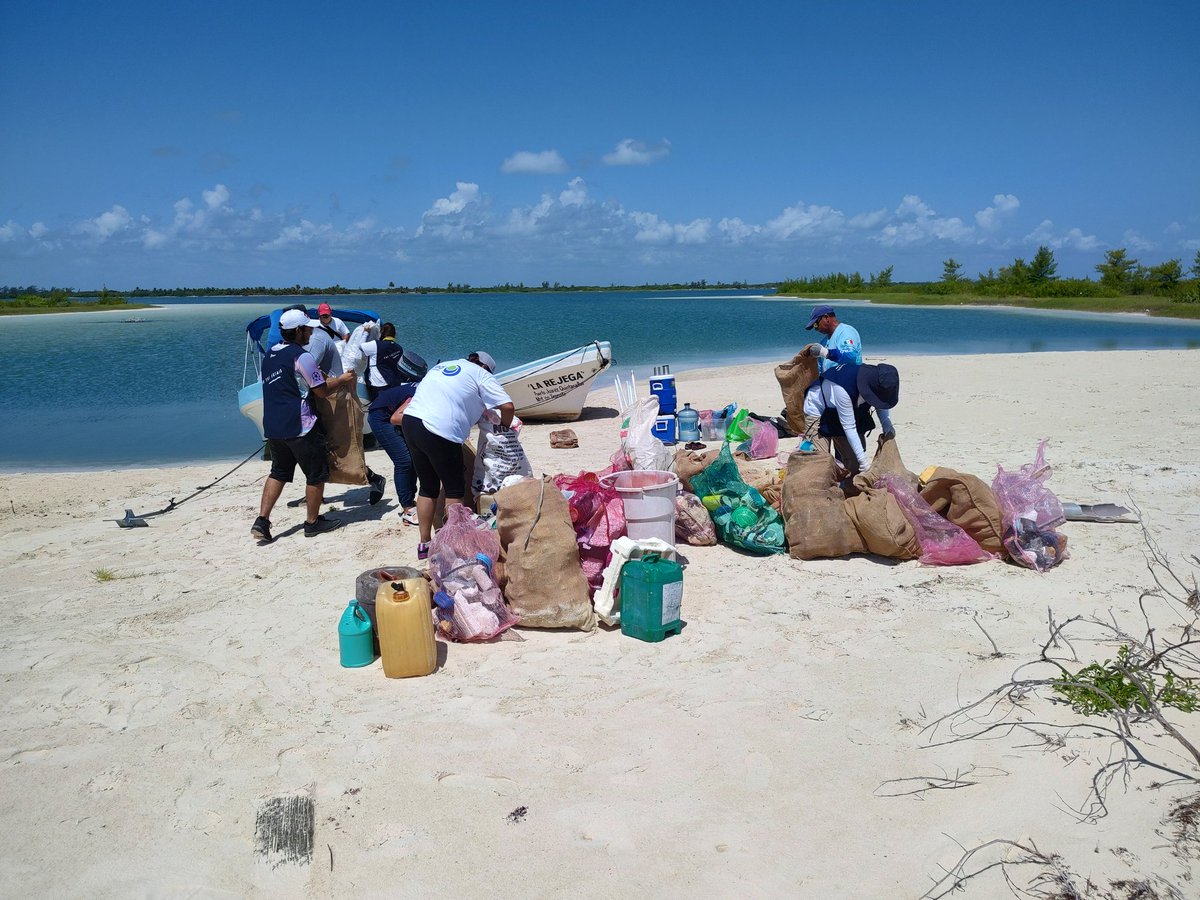 AgrotoursMx's tweet photo. El pasado sábado 6 de agosto en un esfuerzo conjunto, las cooperativas de servicios ecoturísticos participaron con #ParleyForTheOceans @RedAmbiental_Mx y @CONANP_mx participamos en los trabajos de limpieza y saneamiento de ecosistemas acuáticos en R.B. Caribe Mexicano https://t.co/n6m6JiNhVU