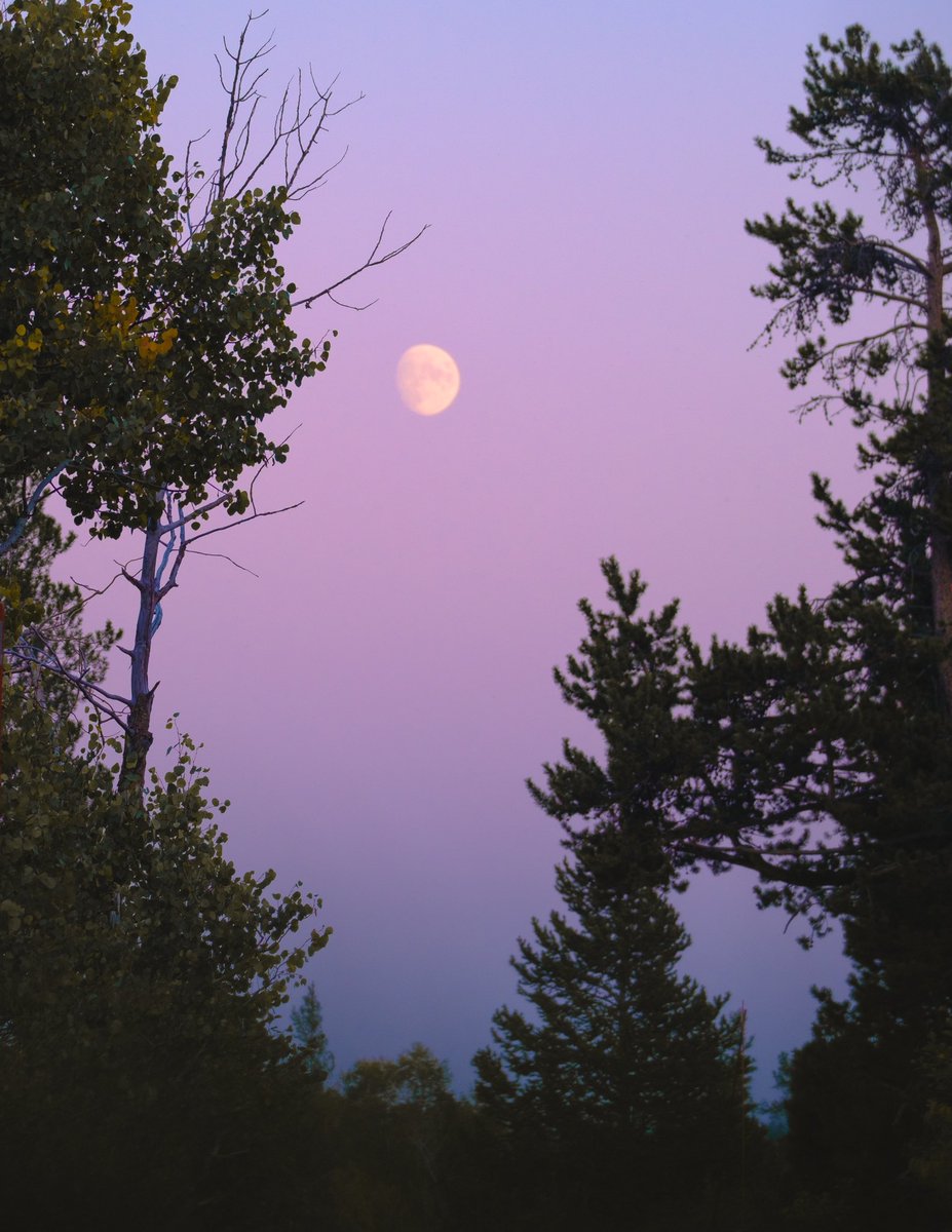 Gn friends 🌙 

Have the best evening