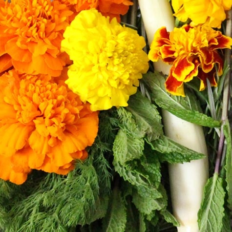 Don't forget to stay hydrated on hot days like these! 
Add our Herbal Beverage Kit next time you #CustomizeYourBox. It contains a fantastic blend of rosemary, dill, mint, lemongrass and edible flowers that adds depth and a wonderful refreshing taste to water, tea, and lemonade.