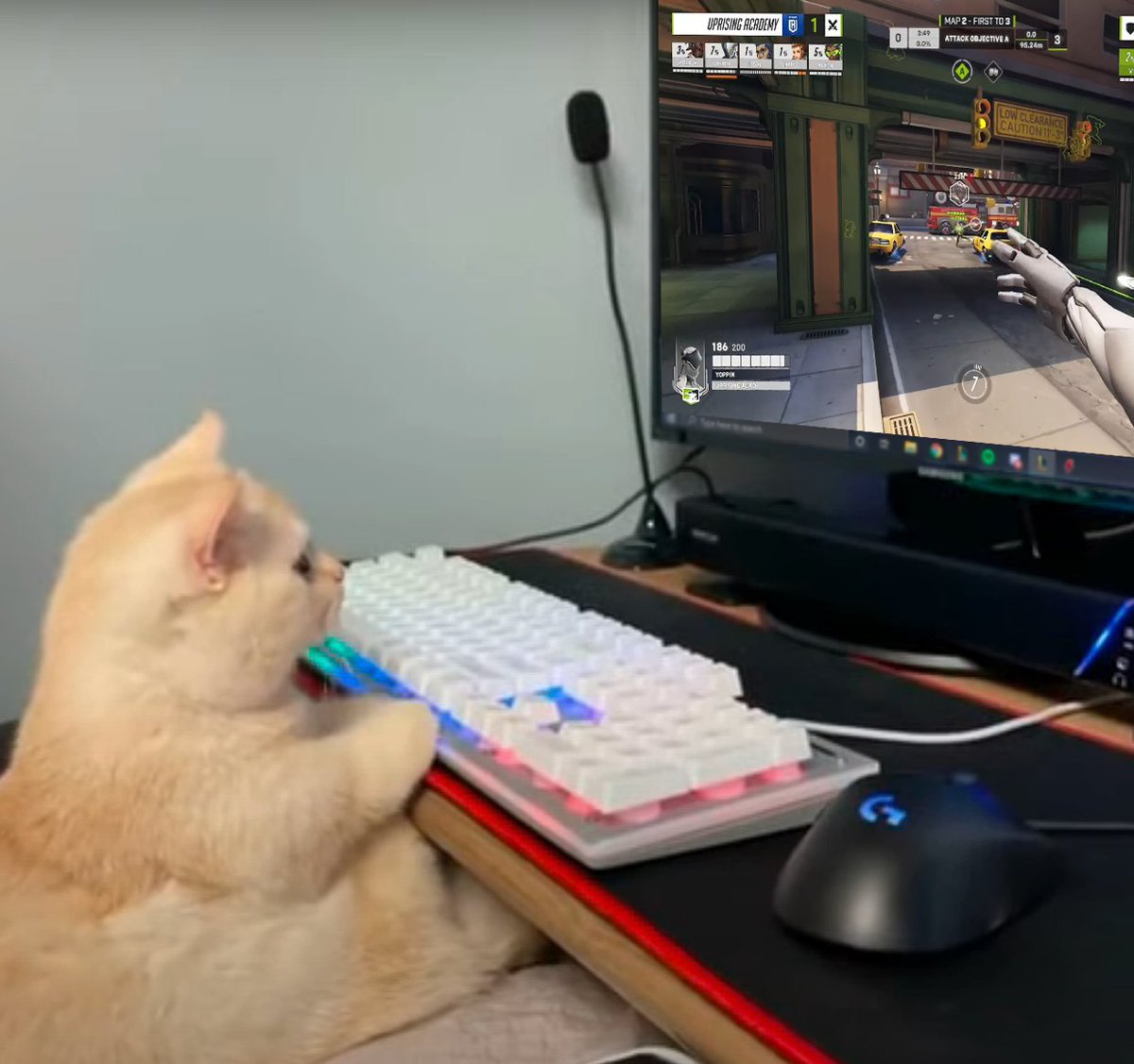 He is watching the Contenders Summer Series Playoffs.