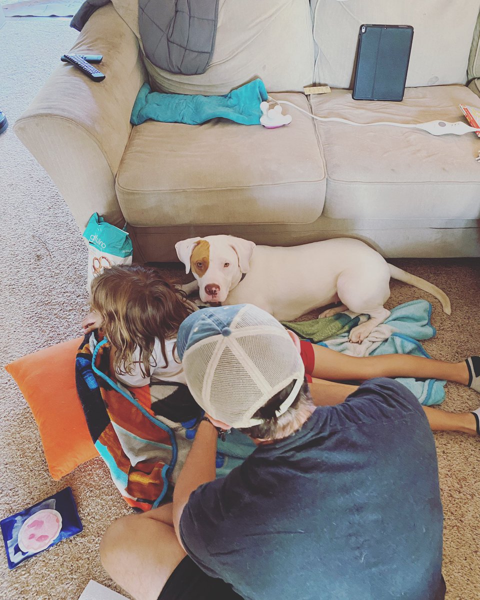 jwiggi21's tweet photo. #DogsAreFamily Our newest fur family member has only been home for ~ 2 weeks. This is her first infusion day with her #PIWarrior little human. She was distressed. She do a cuddle 🧡 https://t.co/c86OeMa9md