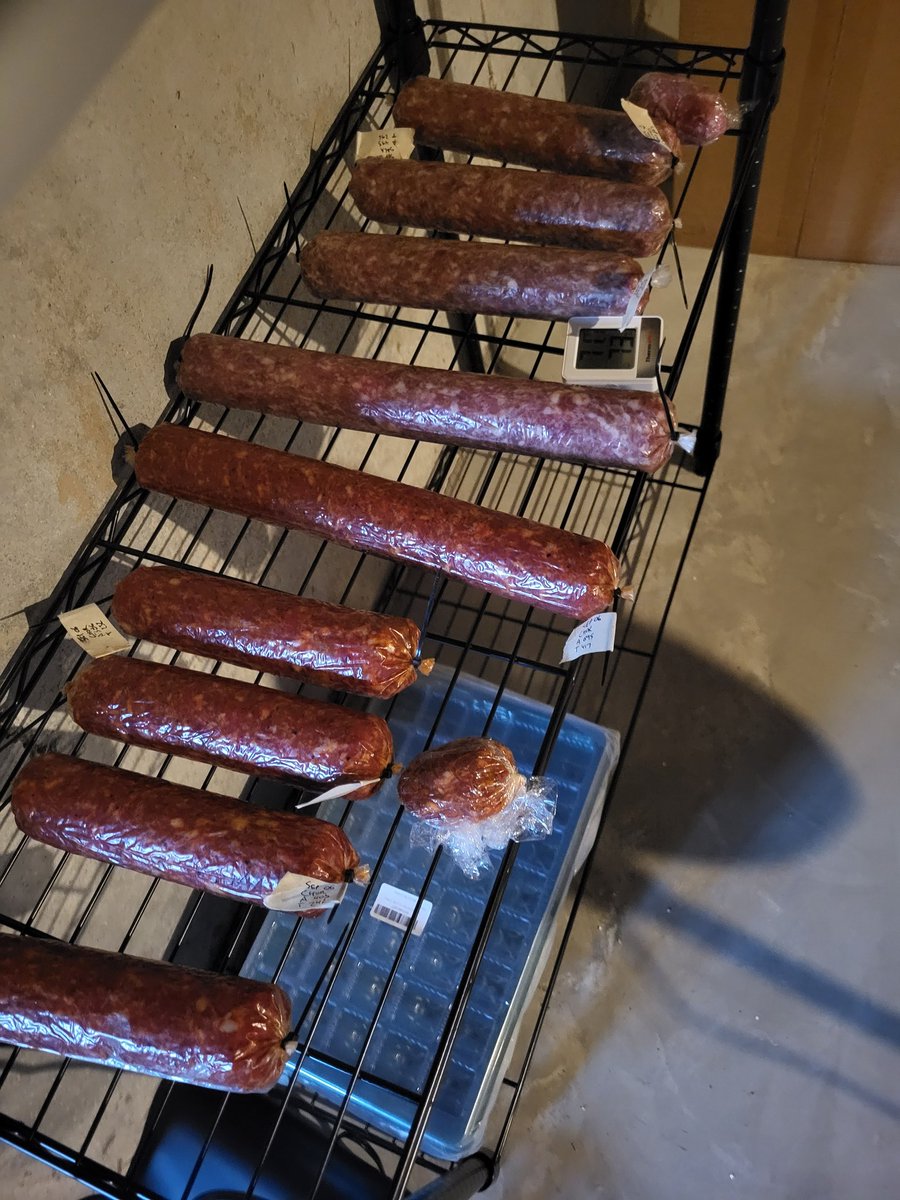 Steev (Fat Racoon arc) on Twitter "Just a little homemade salami. As a