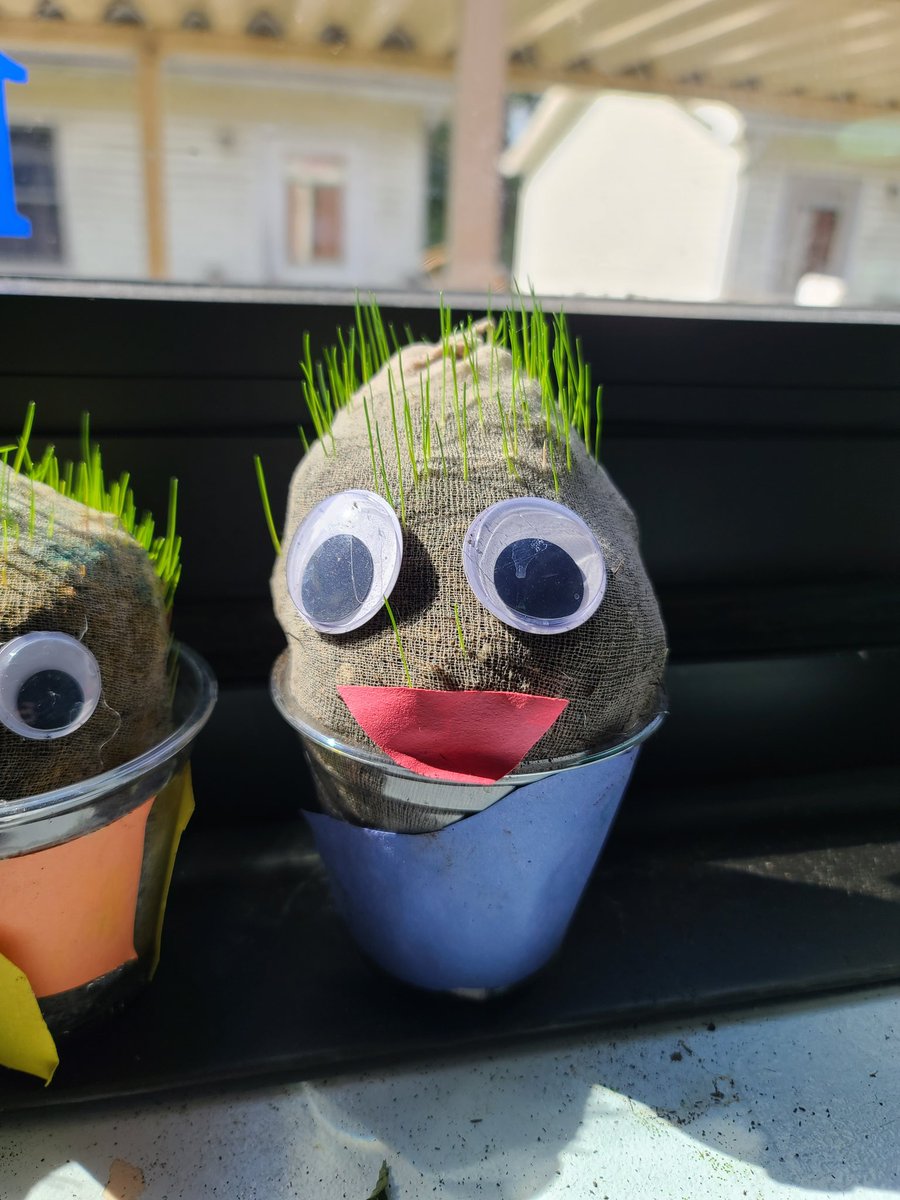 AmandaRachford's tweet photo. First grade students at DES started their Research and Inquiry projects for Unit 1. Students are documenting and writing about change over time. I can't wait to see the final hair growth! 😆 @Desbears @nickjbrown83 @M_Wills2329 @Andrea1981 @ErnestineAdams https://t.co/k9JYsY9V7G