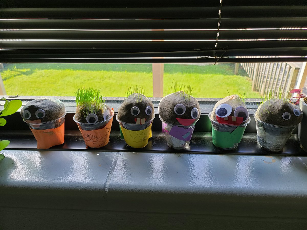 AmandaRachford's tweet photo. First grade students at DES started their Research and Inquiry projects for Unit 1. Students are documenting and writing about change over time. I can't wait to see the final hair growth! 😆 @Desbears @nickjbrown83 @M_Wills2329 @Andrea1981 @ErnestineAdams https://t.co/k9JYsY9V7G