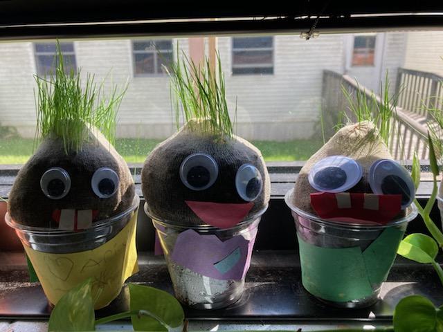 AmandaRachford's tweet photo. First grade students at DES started their Research and Inquiry projects for Unit 1. Students are documenting and writing about change over time. I can't wait to see the final hair growth! 😆 @Desbears @nickjbrown83 @M_Wills2329 @Andrea1981 @ErnestineAdams https://t.co/k9JYsY9V7G