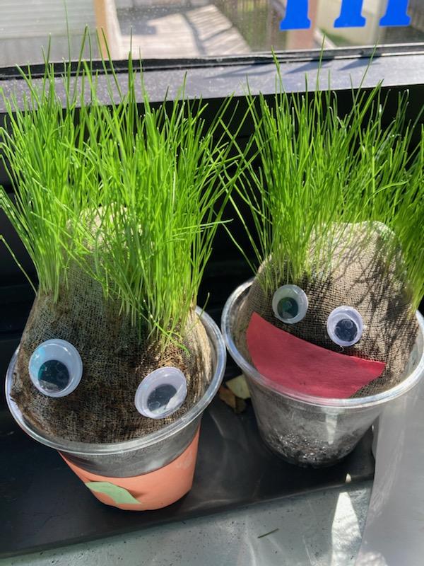 AmandaRachford's tweet photo. First grade students at DES started their Research and Inquiry projects for Unit 1. Students are documenting and writing about change over time. I can't wait to see the final hair growth! 😆 @Desbears @nickjbrown83 @M_Wills2329 @Andrea1981 @ErnestineAdams https://t.co/k9JYsY9V7G
