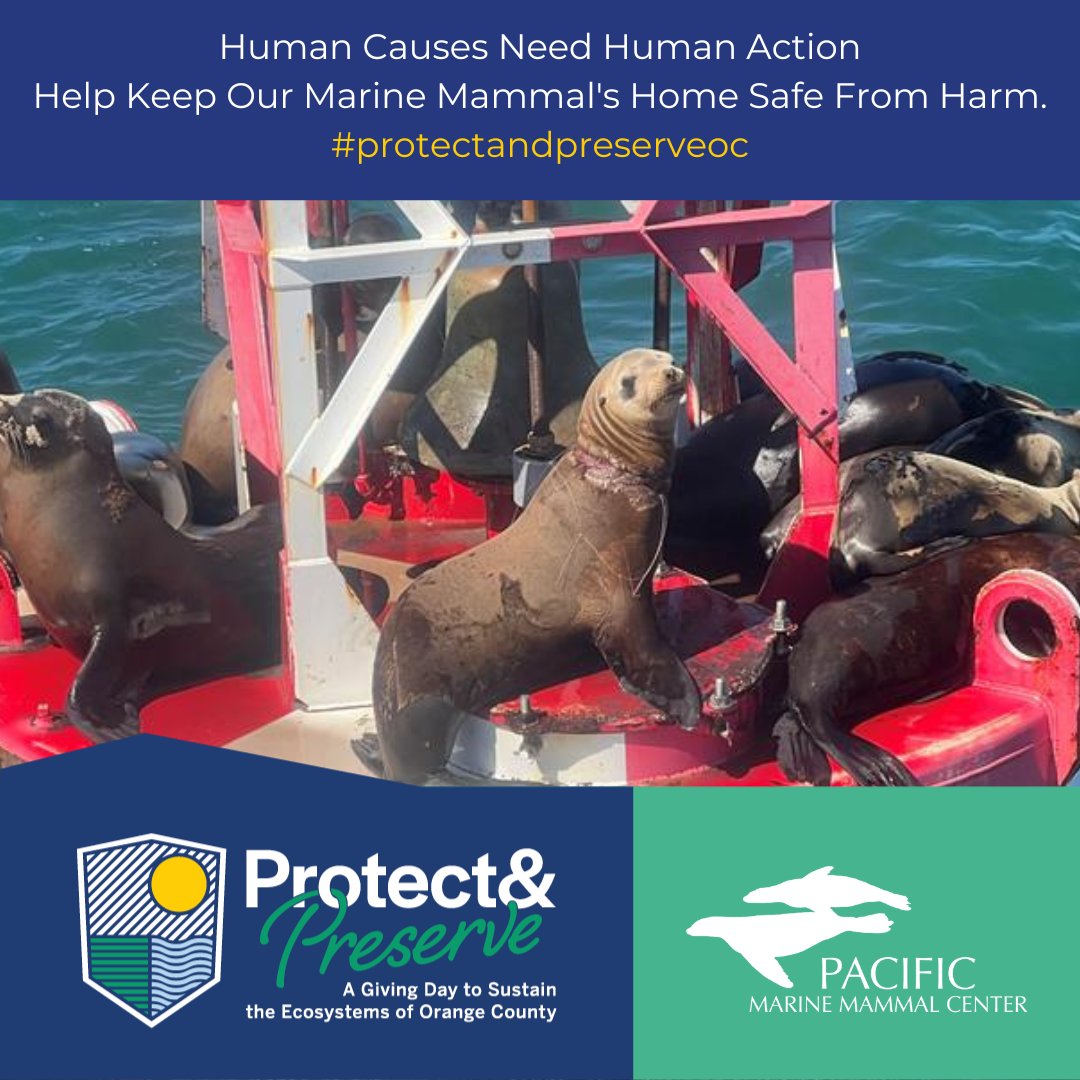 Human causes need human action.

There is still time. Take action today and help us #protectandpreserveoc so we can continue our efforts with like minded organizations to clean up our oceans and provide a clean and safe home for our marine mammals.

Text PMMC2022 to 41444