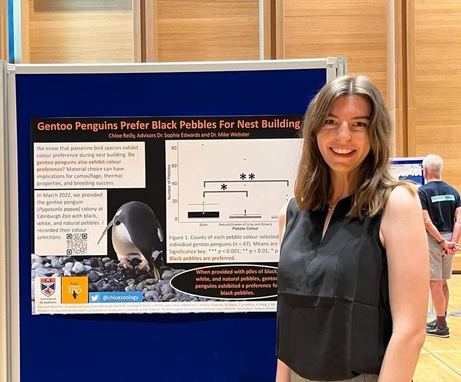 My year with <a href="/MSc_AB_St_A/">Animal Behaviour MSc St Andrews</a> has gone in so quickly! I recently had the pleasure of sharing some of my final results at the <a href="/SchoolofBiology/">School of Biology</a> poster session 🐧 Thanks <a href="/scedwards19/">Sophie Edwards</a> and <a href="/mikemwebster/">Mike Webster</a> for being awesome supervisors and <a href="/EdinburghZoo/">Edinburgh Zoo</a> for supporting behavioural research!