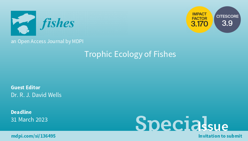 TAMUG Shark Biology and Fisheries Science Lab tweet media