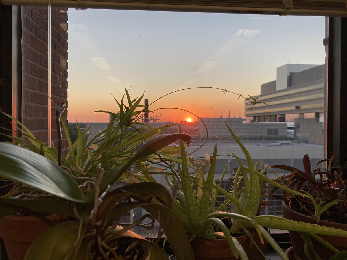 Ellie Heckscher tweet media