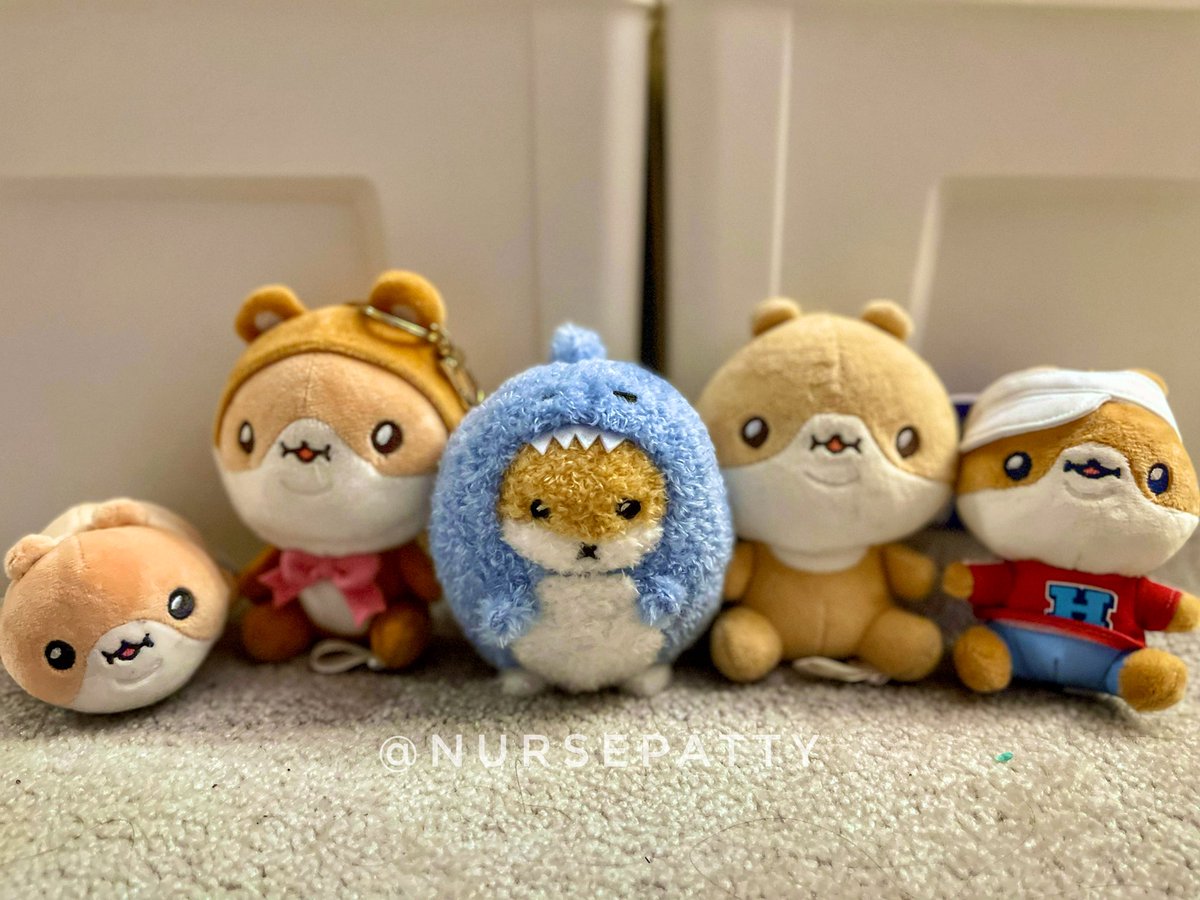 NursePatty's tweet photo. Welcome to the family, #HAMSANGYI &amp; #HAMSGYI!  We have been waiting for you. 💙🐹💙🦈 

Enjoy the cute photo shoot! 📸📸

#KIHYUN #기현 #Hamgom #MONSTAX #Monbebe 💙 https://t.co/Is9PsedEZK