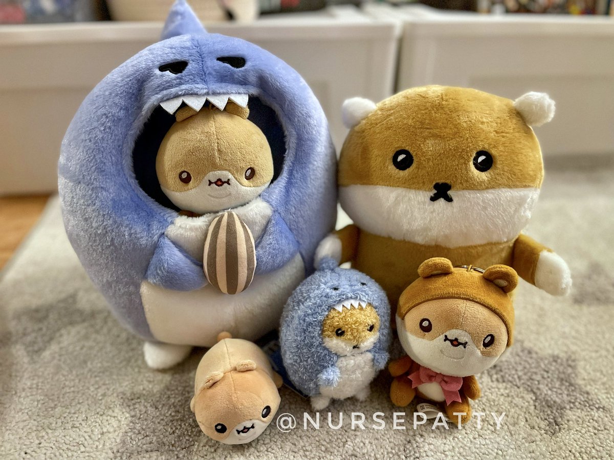 NursePatty's tweet photo. Welcome to the family, #HAMSANGYI &amp; #HAMSGYI!  We have been waiting for you. 💙🐹💙🦈 

Enjoy the cute photo shoot! 📸📸

#KIHYUN #기현 #Hamgom #MONSTAX #Monbebe 💙 https://t.co/Is9PsedEZK