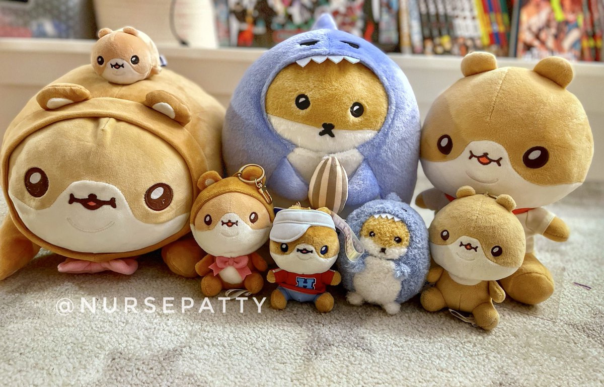 NursePatty's tweet photo. Welcome to the family, #HAMSANGYI &amp; #HAMSGYI!  We have been waiting for you. 💙🐹💙🦈 

Enjoy the cute photo shoot! 📸📸

#KIHYUN #기현 #Hamgom #MONSTAX #Monbebe 💙 https://t.co/Is9PsedEZK