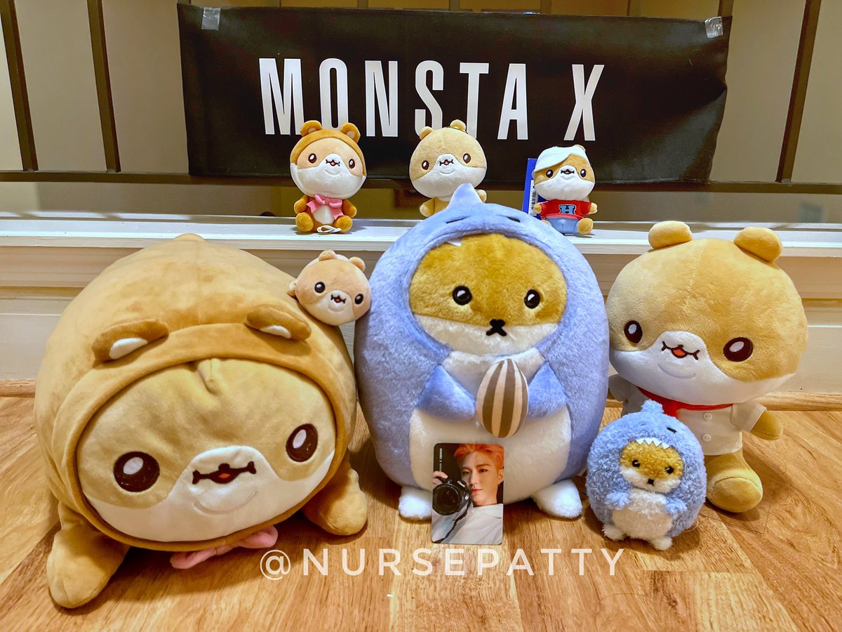 NursePatty's tweet photo. Welcome to the family, #HAMSANGYI &amp; #HAMSGYI!  We have been waiting for you. 💙🐹💙🦈 

Enjoy the cute photo shoot! 📸📸

#KIHYUN #기현 #Hamgom #MONSTAX #Monbebe 💙 https://t.co/Is9PsedEZK