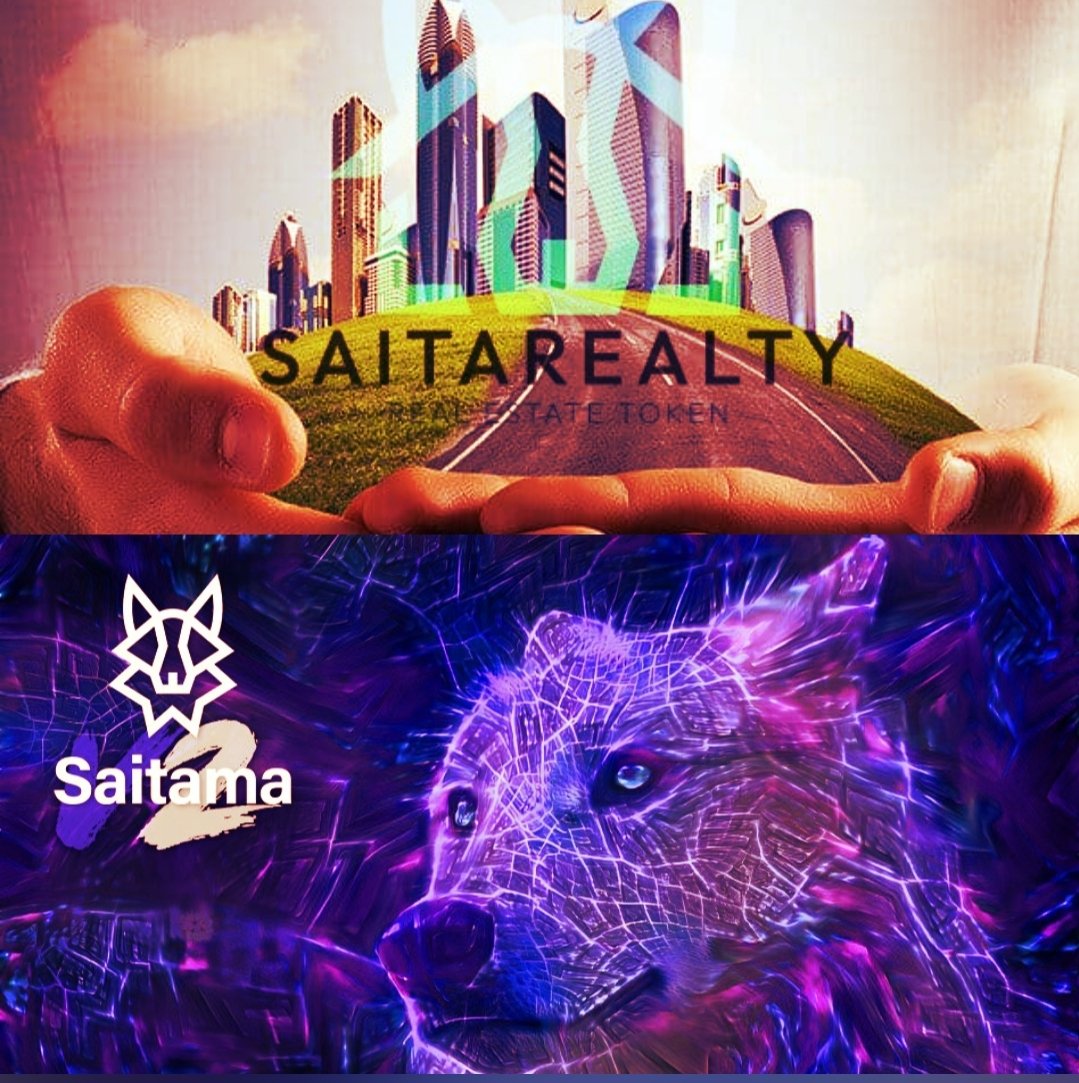 Bardo 🇦🇺 tweet media