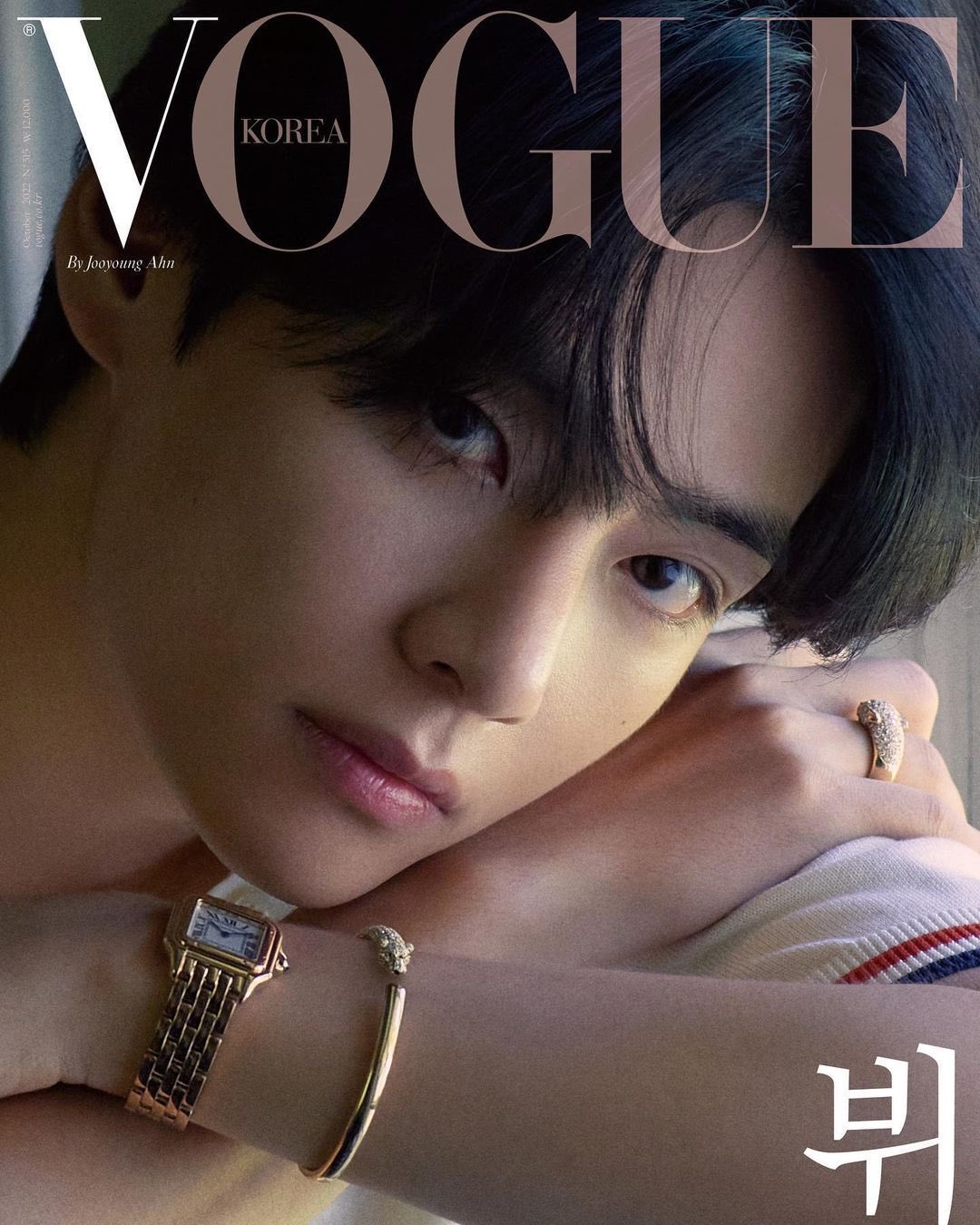 Vogue Korea describes BTS´V as ¨seductive and powerful¨