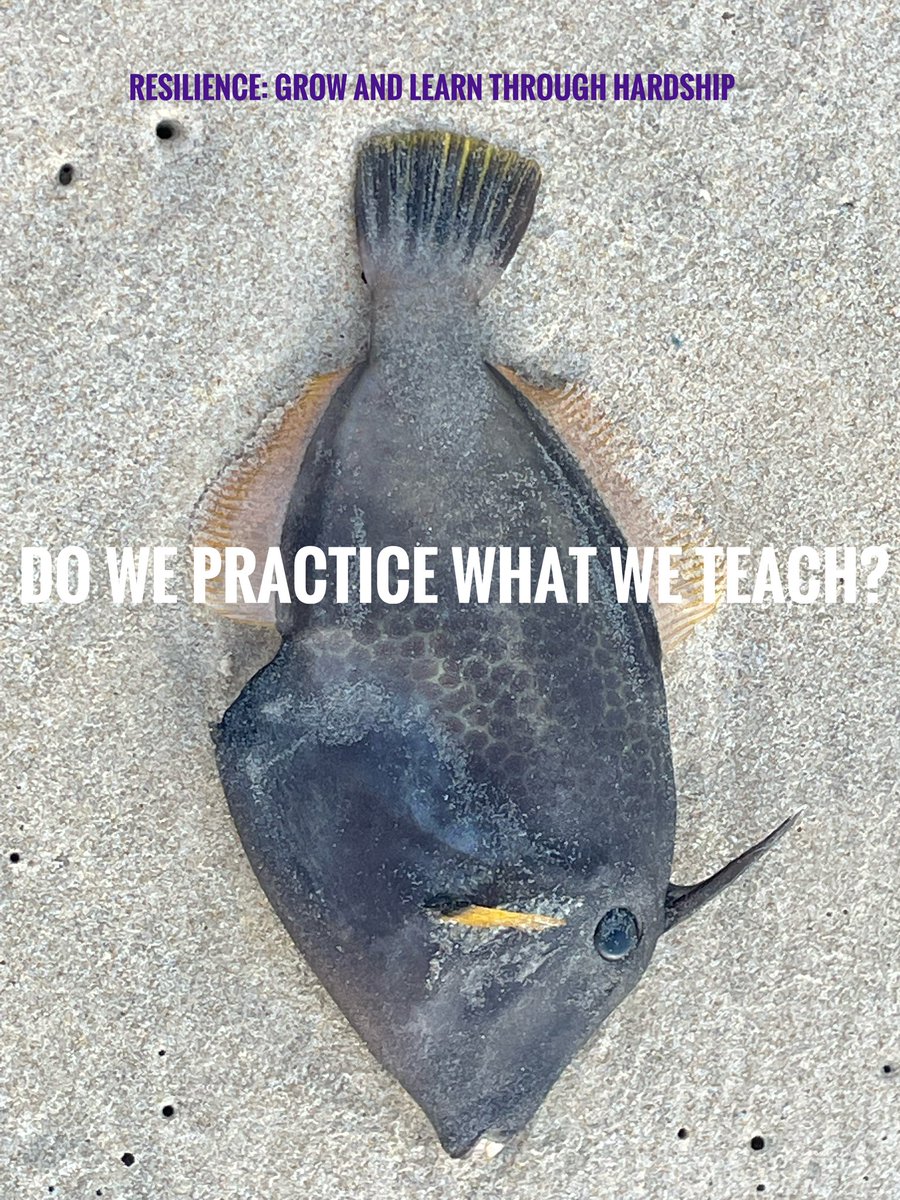 leipei22's tweet image. #ACMHN2022 @FostKim mental health nurses altruism often impedes our own self compassion, at what cost? #connection #collaborate #nomoresilos