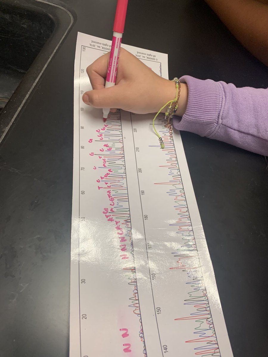 MI students learned about DNA sequencing this week, then got the chance to code a partial genome of a pathogen. They were able to use GenBank’s national database to identify the bacteria! <a href="/edvotek/">edvotek</a> #biotechnologyiscool #wearegraham