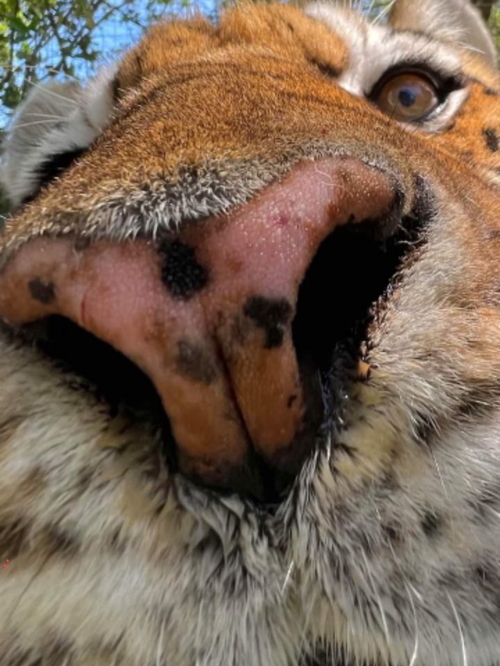 Darla Crane ™ on Twitter: