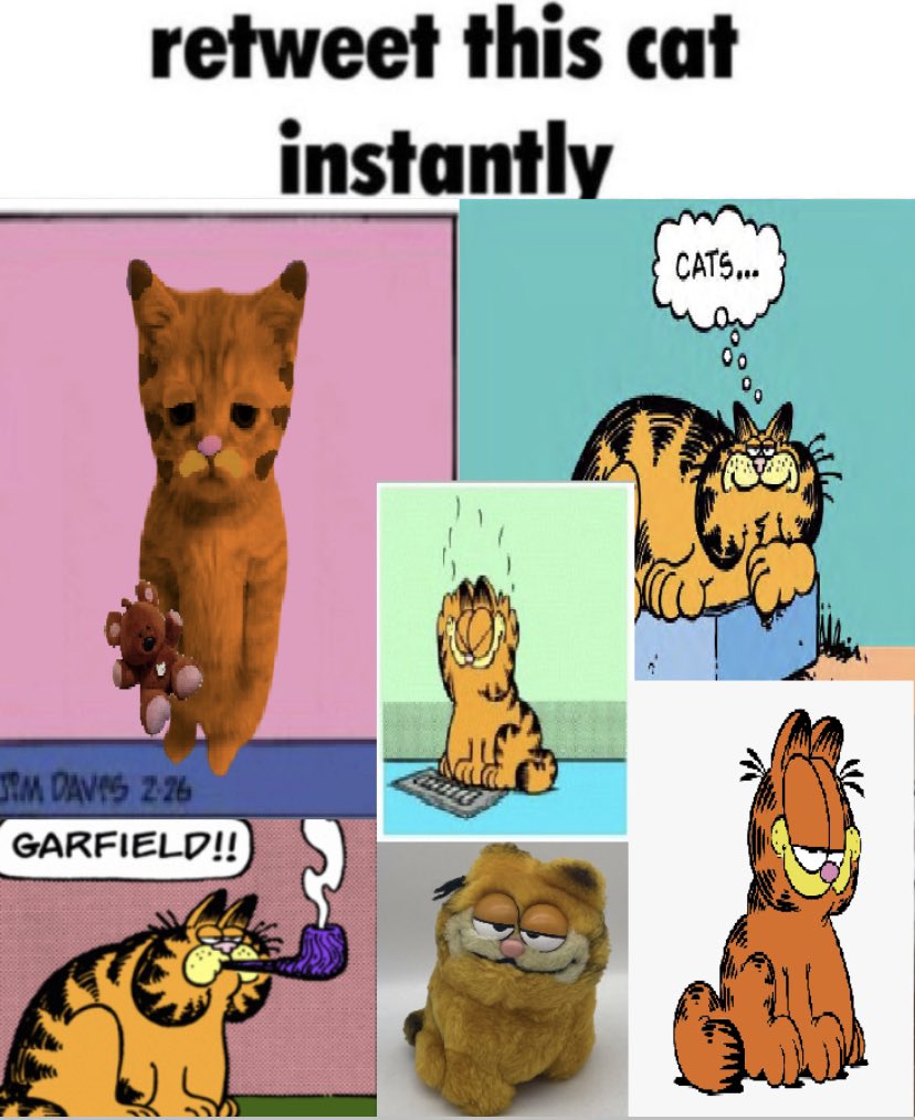 BigGarfFan37 tweet picture