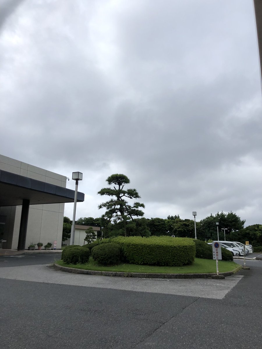 mimi13loved's tweet photo. まったく昨日と同じ景色

 #抜糸した
 #ちゃんと予約日だった
 #ちょっと痛い https://t.co/HqqDg7Xk0O