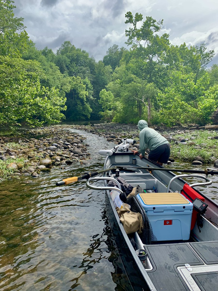 Jordan Rice tweet media