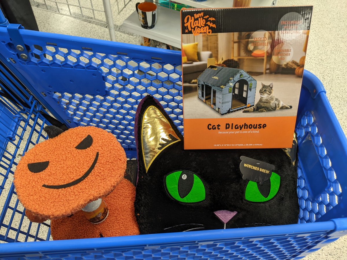 ChickadeeDeals's tweet photo. Found some cute #Halloween #cat stuff at #Ross 😸 
#binx #pumpkin #catscratcher https://t.co/2TqkpjmI9b
