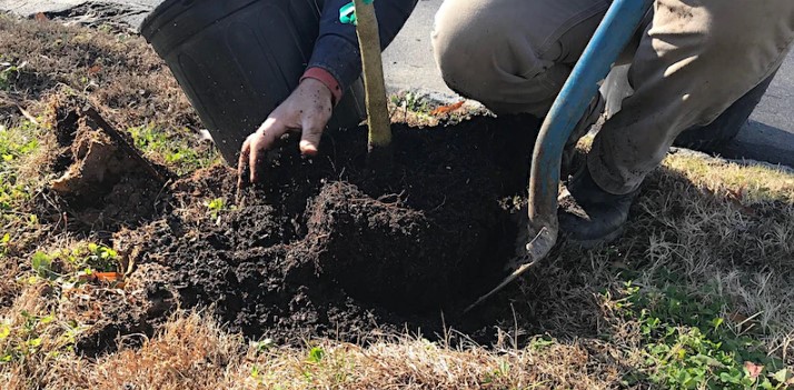 Join <a href="/DurhamExtension/">Durham Extension</a>, <a href="/DurhamBeautiful/">KeepDurhamBeautiful</a>, TreesDurham &amp; <a href="/CityofDurhamNC/">CityofDurhamNC</a> for the 3-part Tree Keeper Training Series! Cost is $30. Sessions on 9/17, 10/1 &amp; 10/15 from 10am-12pm

Register at: bit.ly/DCoTreeKeeper

Durham Tree Keeper program info: keepdurhambeautiful.org/tree-keepers