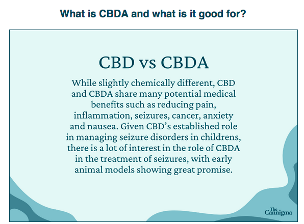 botanicals2021's tweet photo. What would you like to learn about CBD &amp; CBDA? 
What do you already know?
@CarmenMilagro - CCBDC &amp; #Founder
#certifiedcbdconsultant #mastercertified #wellnesscoach #hemp #hempcbd #hempcbdoil #hempcbdeducation #cbd #cbdeducation #cbdoil #cbda
Graphic by: The Cannigma https://t.co/ambIwFEZ80