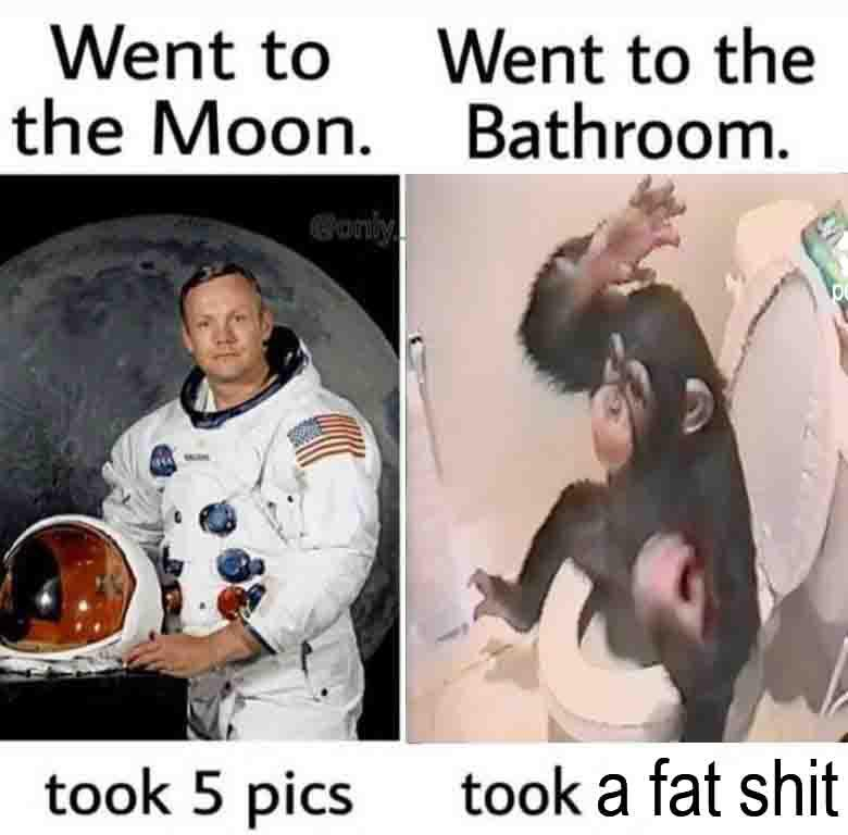 DailyMonkeyApe's tweet photo. Chilling. https://t.co/9n0cYEid4X