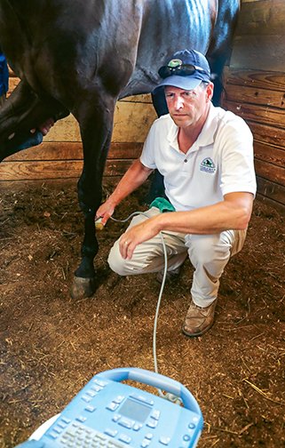 USTrotting's tweet photo. In the September issue of Hoof Beats' Horse Care column, Hope Ellis-Ashburn takes a fresh look at regenerative therapies for tendon issues. #ReadHB #AHoofAbove #HarnessRacing

Read now https://t.co/Fo511ax2s4

Subscribe https://t.co/TPIsHkEUrj https://t.co/UkfcxcezZY
