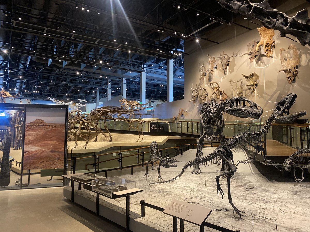 brianbush98's tweet photo. Finally made it through @NHMU  in SLC today… top tier natural history content 👌🏼👌🏼👌🏼 https://t.co/OmPr0v1Lls