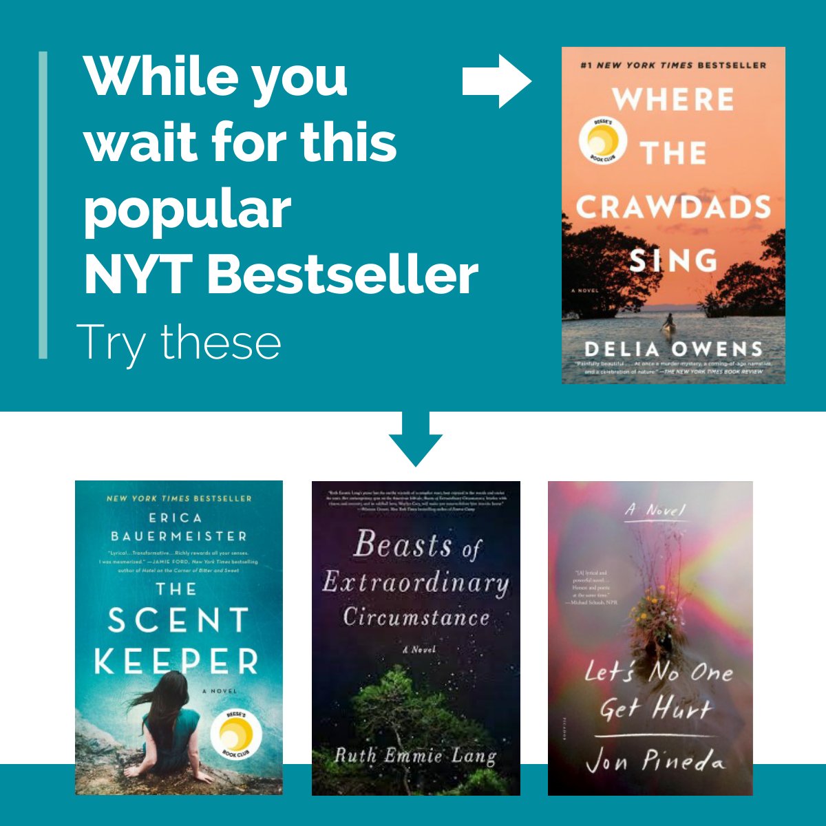chilton_library's tweet photo. Still waiting for this popular title?  Checkout some of this other titles while you wait.
#whattoreadnext #crawdads #chiltonlibrary #chiltonwi https://t.co/yvdgfuEM0d https://t.co/Jv03Eq8VMG