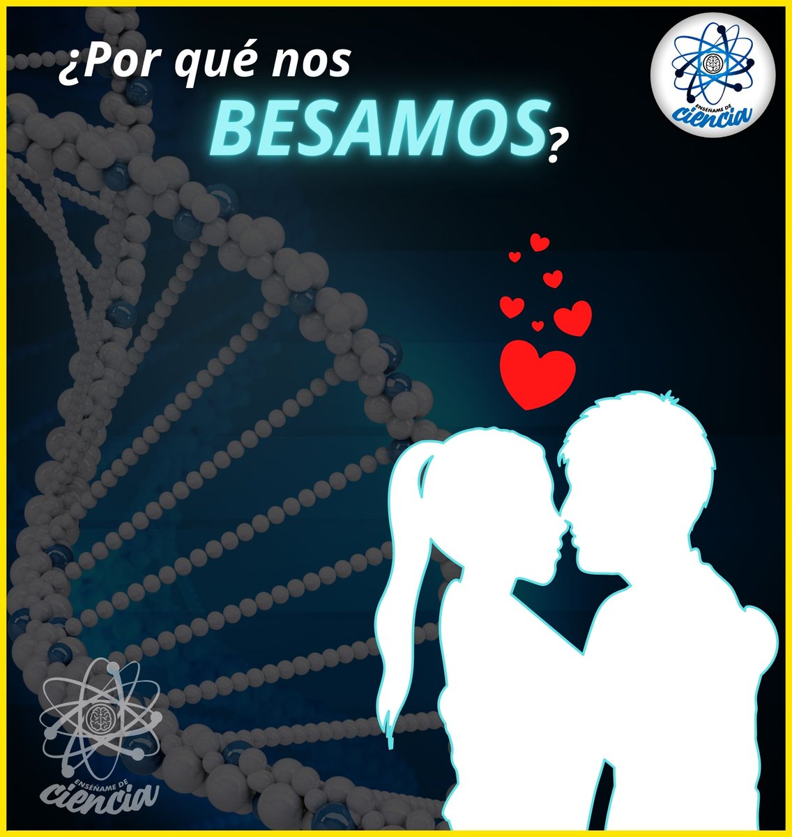 ¿Por qué nos besamos? 😘

Si lo piensas bien, resulta un poco extraño que el intercambiar saliva con otra personas nos parezca romántico y hasta placentero. Sin embargo, este es un instinto biológico que se ha mantenido a través de la evolución.