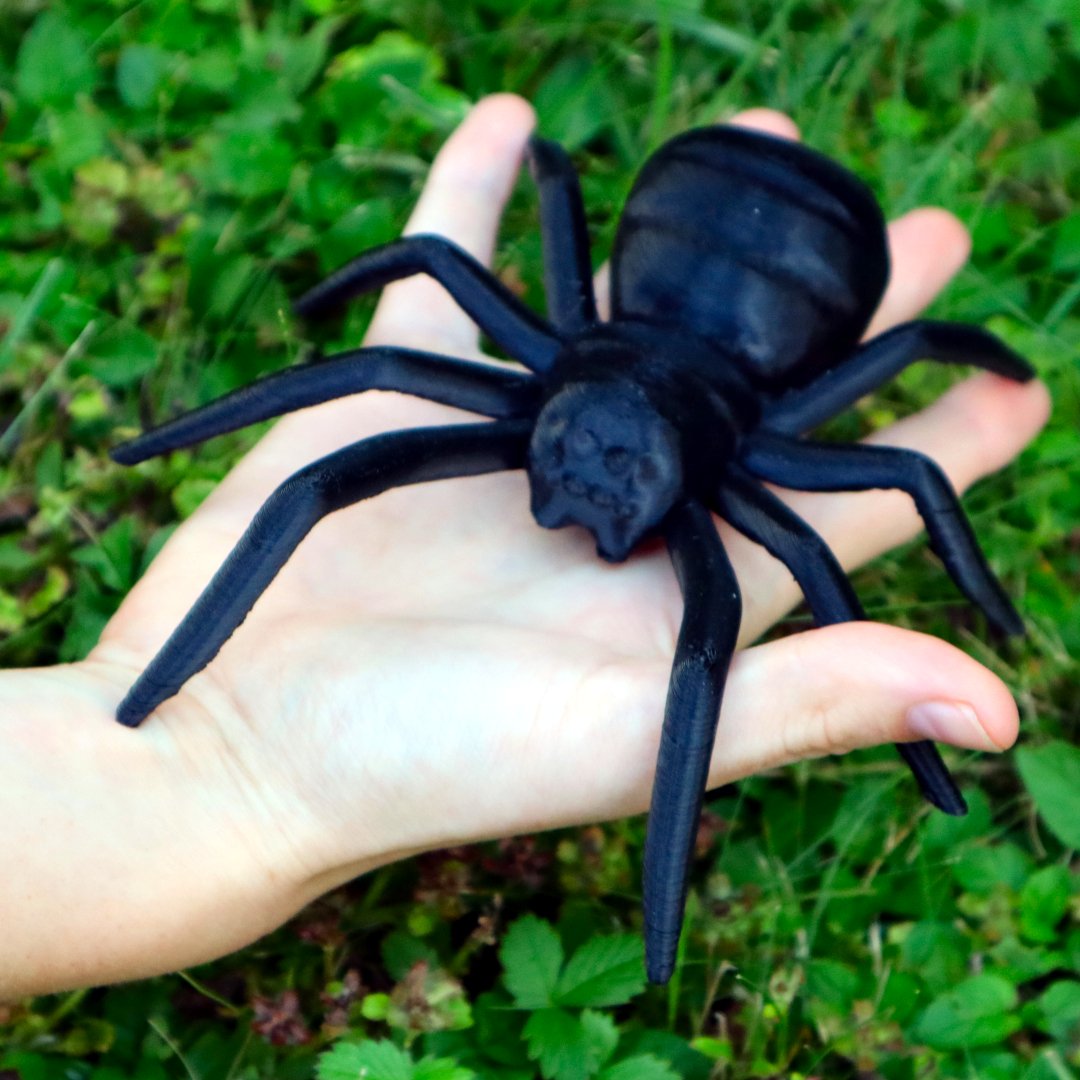 ClarasArtworks's tweet photo. My 3D printed spiders 🕷️ Some are very cute, and some are spooky 🕸️
Models are from @thingiverse.
#Spider #spinne #3dprinted #3dprint #3dprints #animal #cute #spooky #3dprintingcommunity #3dprintingideas #diy #tree #nature #Austria #creality #ender3 #minecraft #magicpla https://t.co/khXPHEVLBh