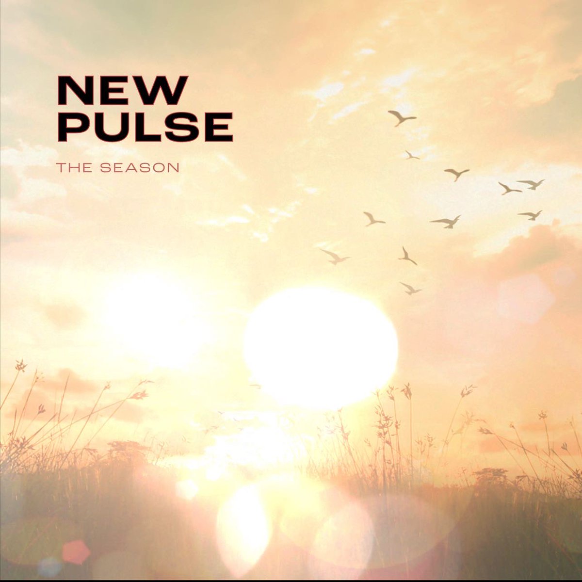 TheSeasonNY's tweet photo. NEW SINGLE + MUSIC VIDEO “New Pulse” COMING 9/14 https://t.co/hAMHL5I93p