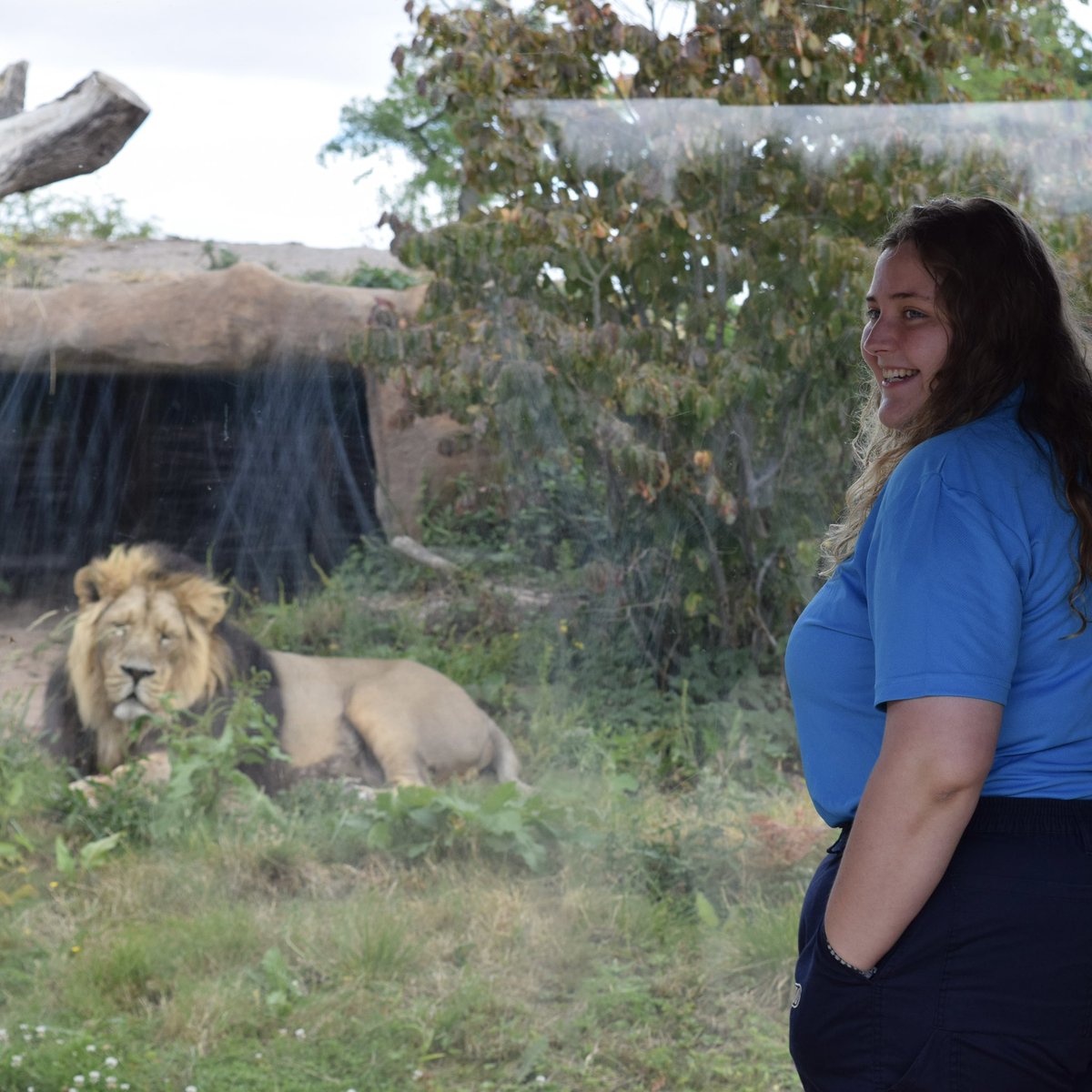 _AmeliaHobson's tweet photo. My placement year with  @ScienceatCZ has sadly come to an end. I am incredibly grateful for this experience which has helped me grow as a person enormously! I am back to UoE for my final year in Zoology! https://t.co/WuhvDarGnt