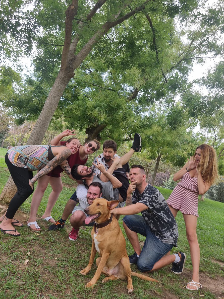 Kitty_Ninetales's tweet photo. Lo que #Pokemon ha unido.. amigos. @kaykomonkey1991 @Muria_IV @pokedermil @DezgVnVGC @MartaGBlasco https://t.co/uGwJl5lB4Q