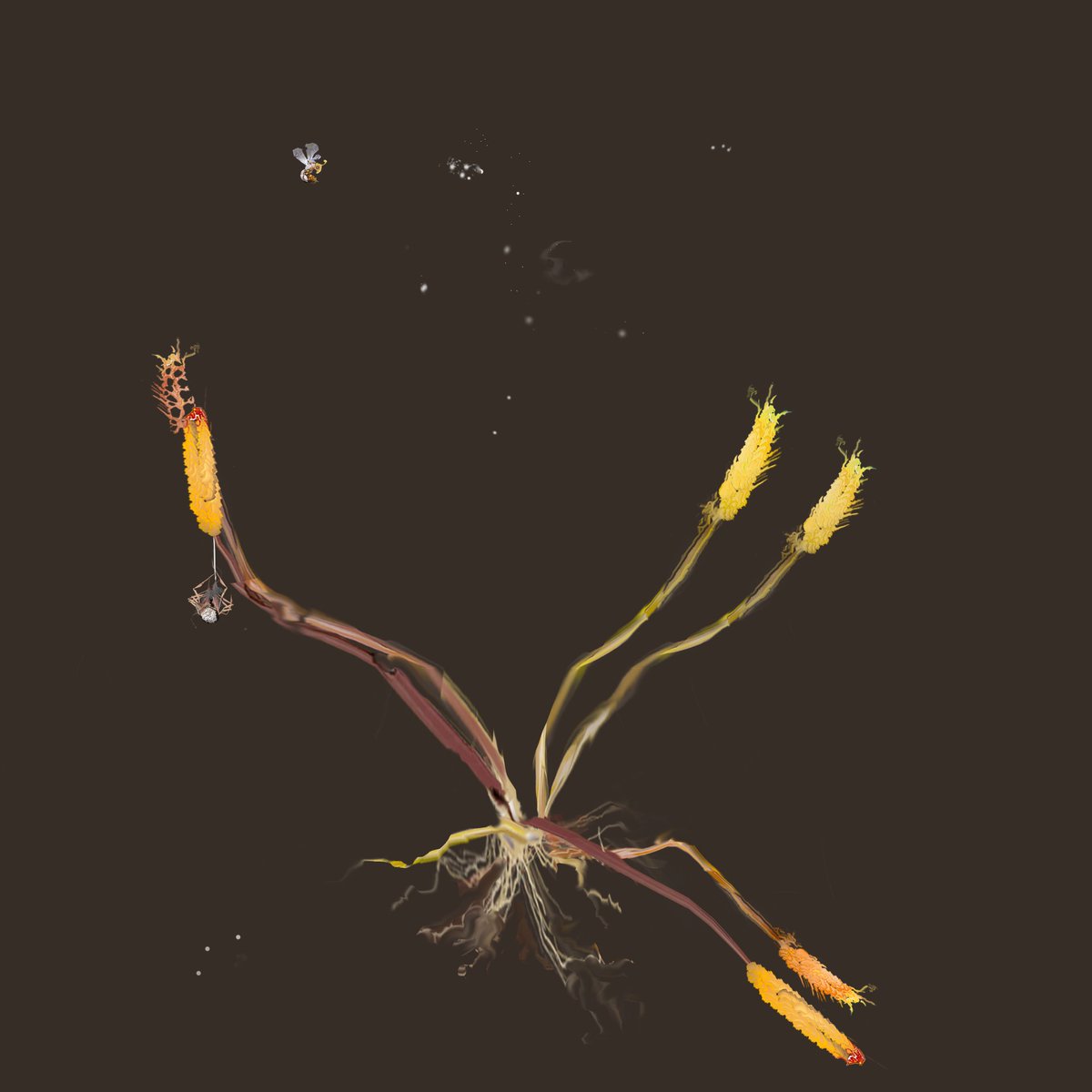 Fizz Pop tweet media