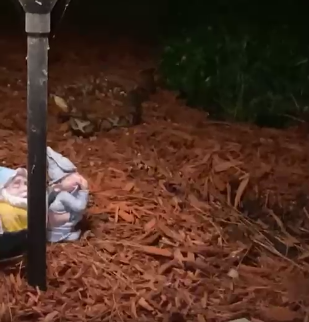 Chris McFarling tweet media