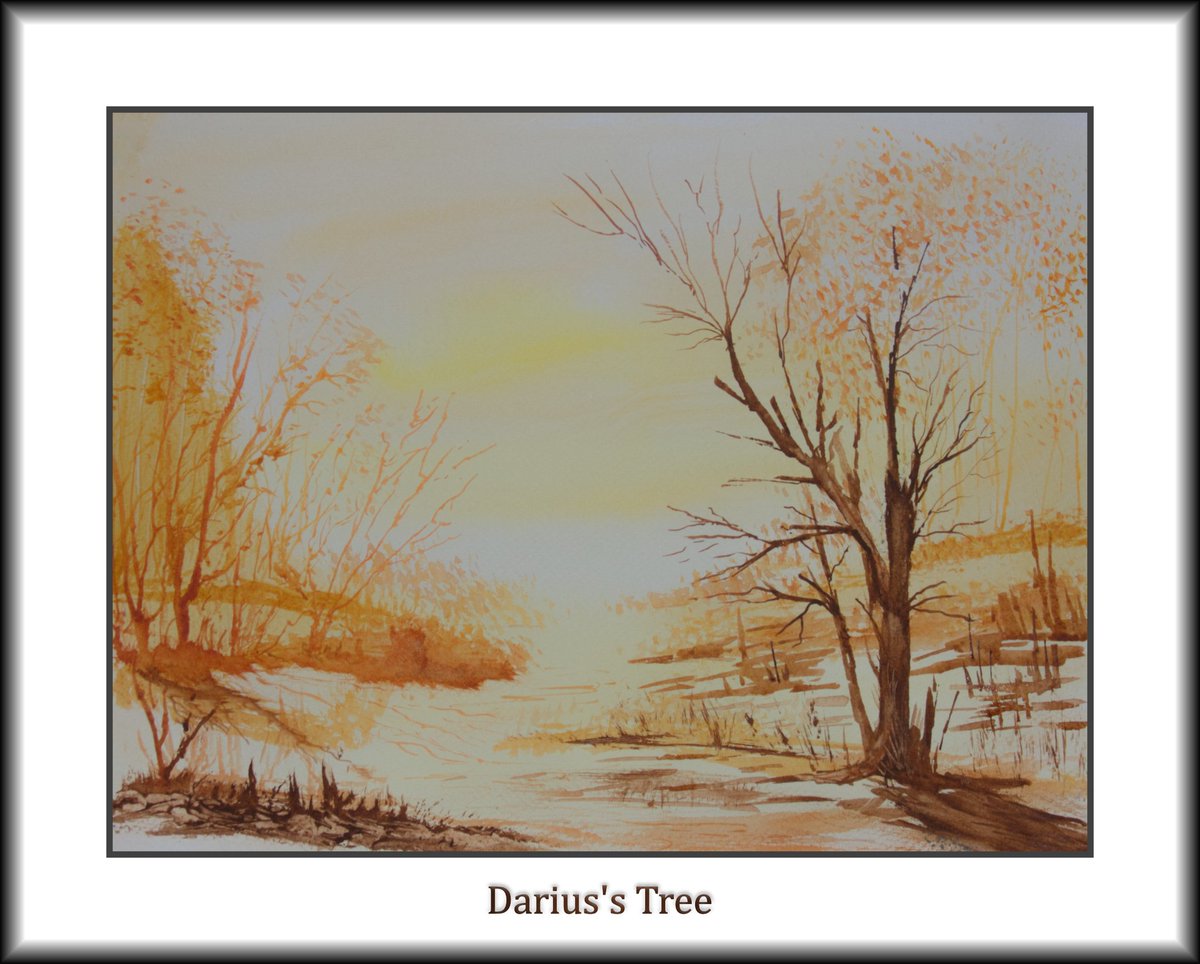 bramelsheretan's tweet photo. Darius's Tree
#Watercolour #art #painting #watercolorpainting #cotman #winsorandnewton #fabrianopaper
#loosewatercolour #ronranson #Autumn
#ArtistOnTwitter @Winsor_NewtonES https://t.co/leXE6WL25R