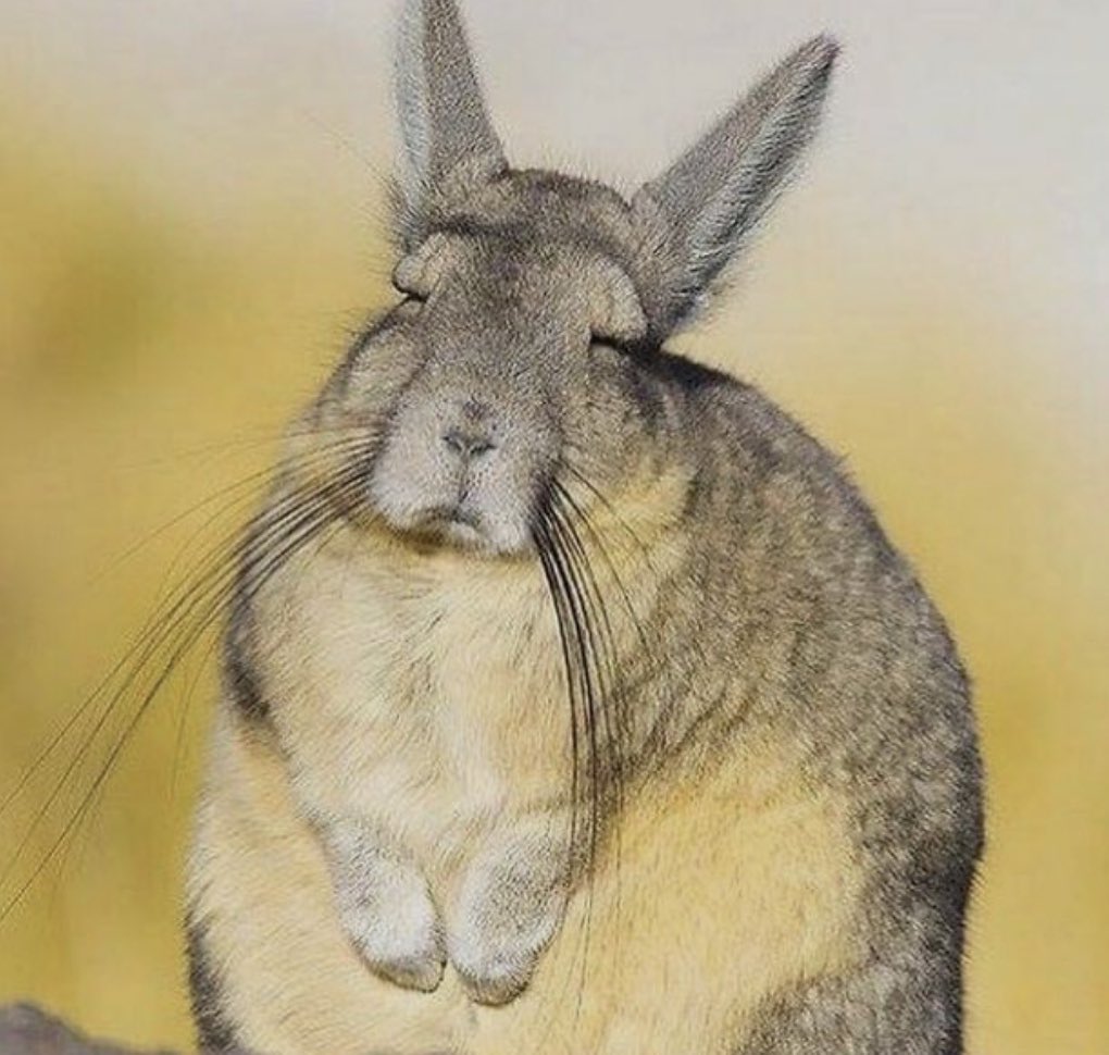 slow burn tweet media