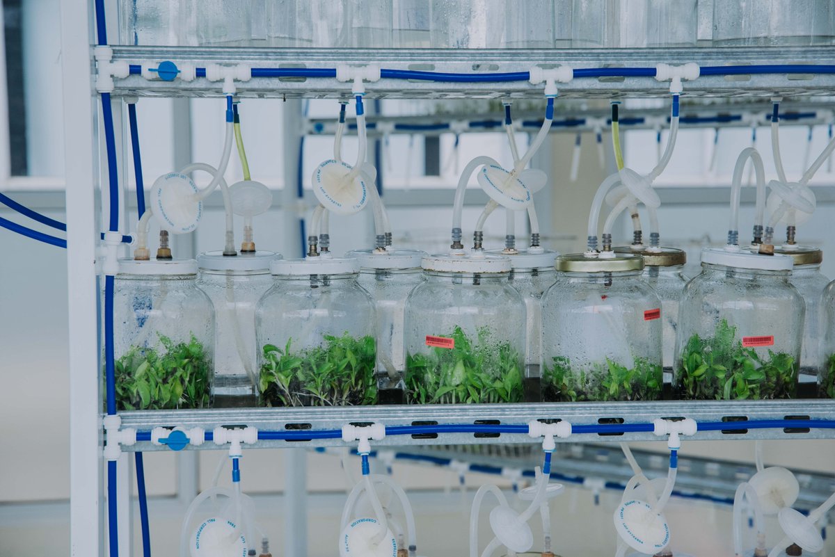 Misiones está profundizando su desarrollo productivo, tecnológico e innovador.

✍️ Vamos a lanzar el primer Fondo de Garantías Público de la provincia y a potenciar sectores claves como la robótica, las nuevas tecnologías y el turismo.  

Te contamos más 👇