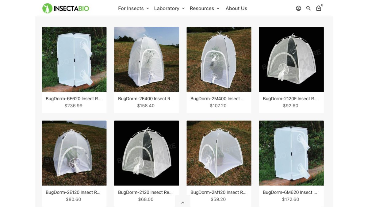 InsectaBio's tweet photo. Looking for insect rearing cages? We've got them! Take a look at our website, https://t.co/CYWbcCw3qw, to get yours today!

#BugDorm #Entomology #InsectCare https://t.co/qKw3R0ZK1c